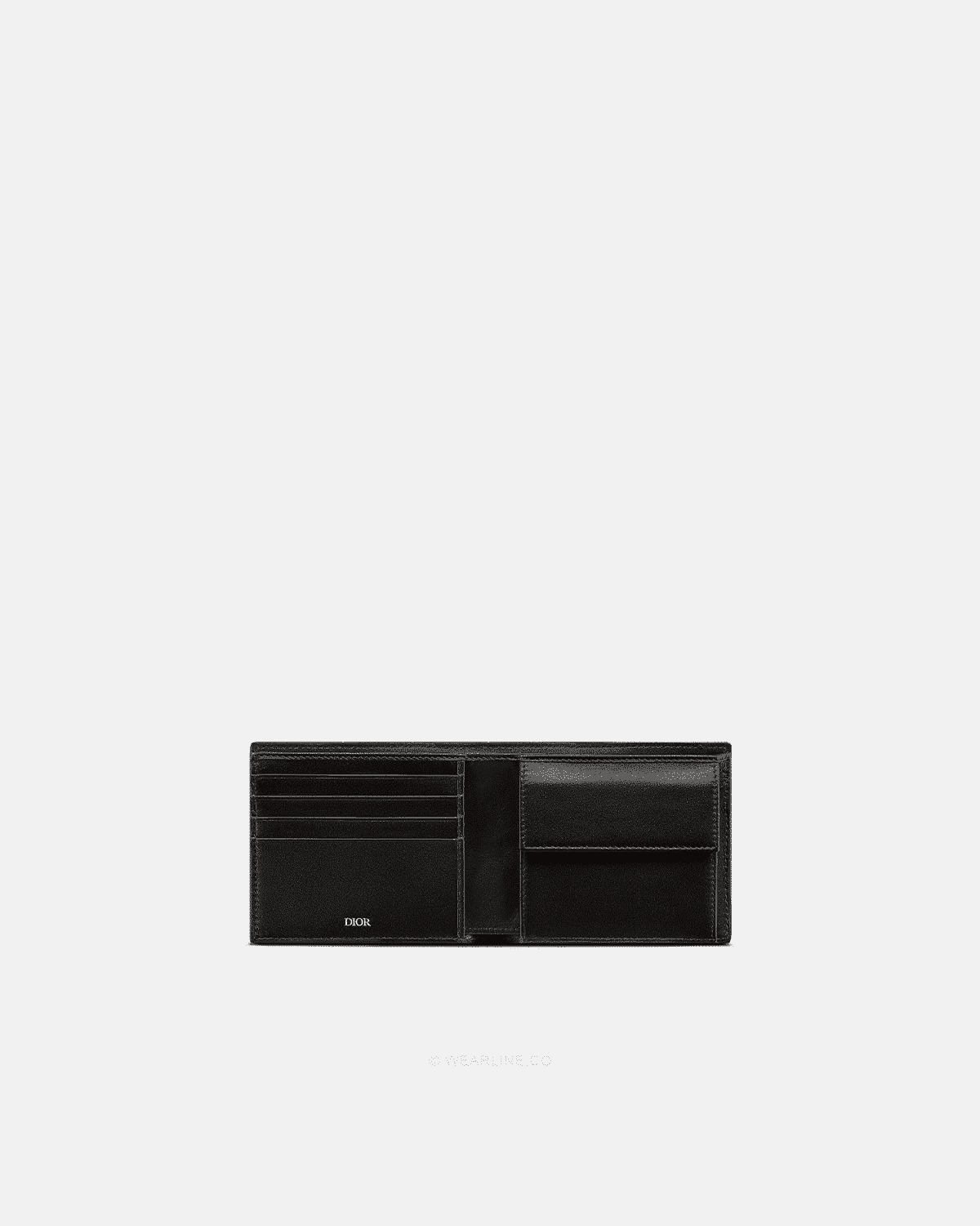 CD × OBLIQUE